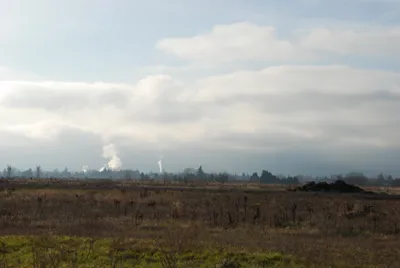 DSC_0703 (Large).JPG